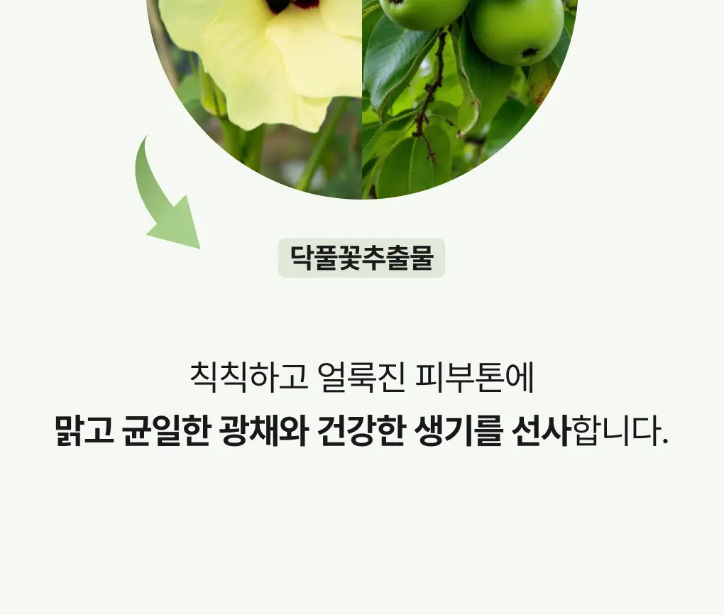 [색소침착/흔적] 청미정 기미잡티크림 카카두플럼 50g 상세페이지 11